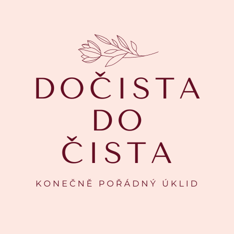 Dočista do čista